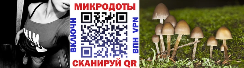 продажа наркотиков Белая Холуница Галлюциногенные грибы мухоморы